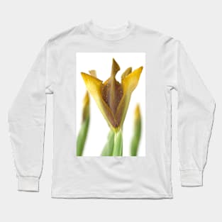 Iris &#39;Bronze Perfection&#39; Dutch iris Long Sleeve T-Shirt